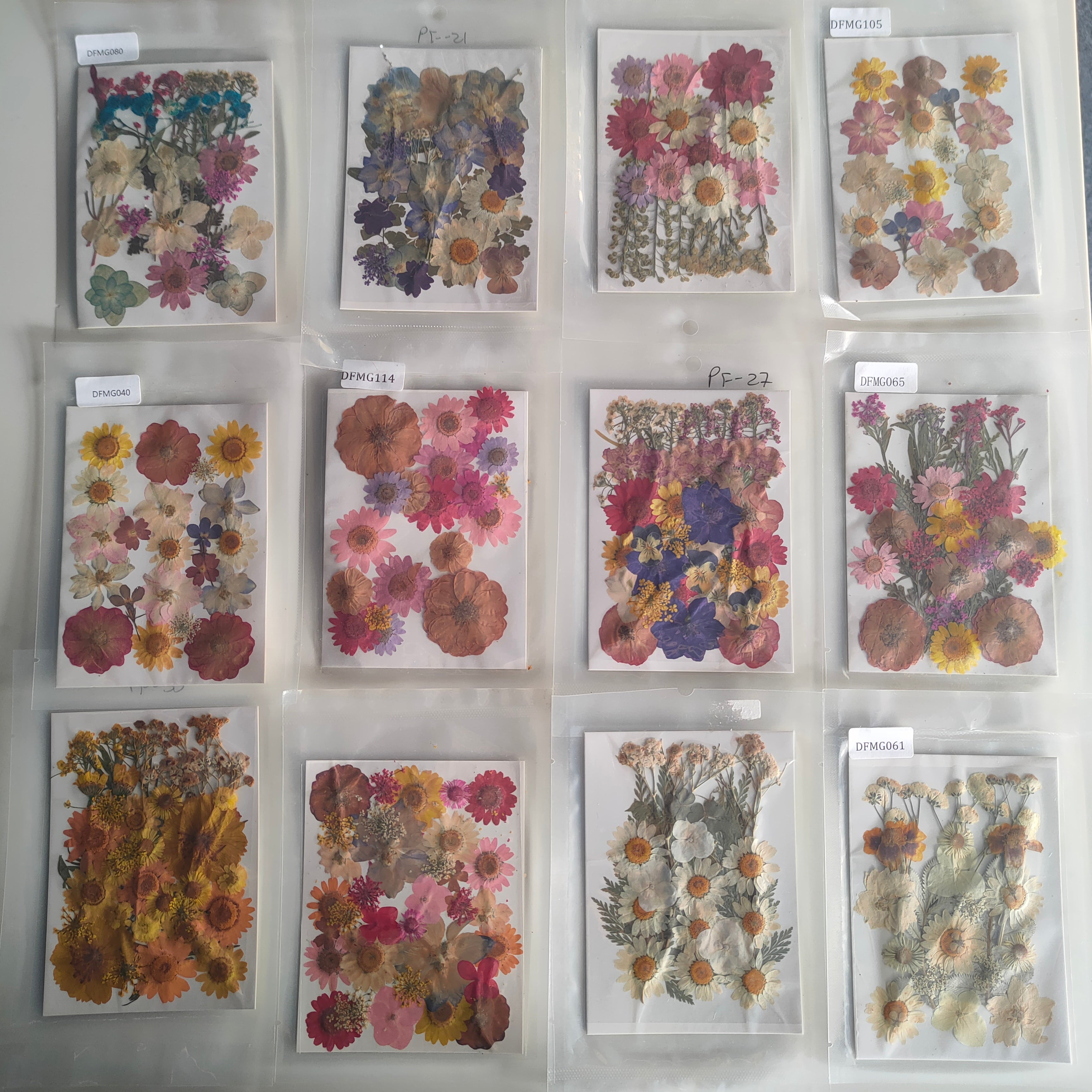 Pressed Flowers